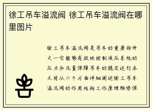 徐工吊车溢流阀 徐工吊车溢流阀在哪里图片