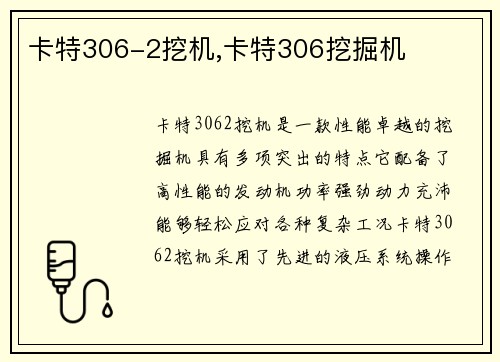 卡特306-2挖机,卡特306挖掘机
