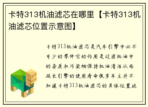 卡特313机油滤芯在哪里【卡特313机油滤芯位置示意图】