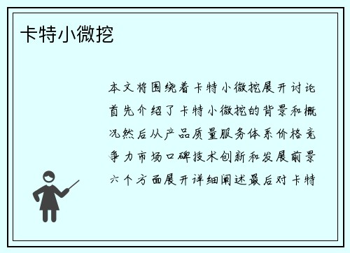 卡特小微挖