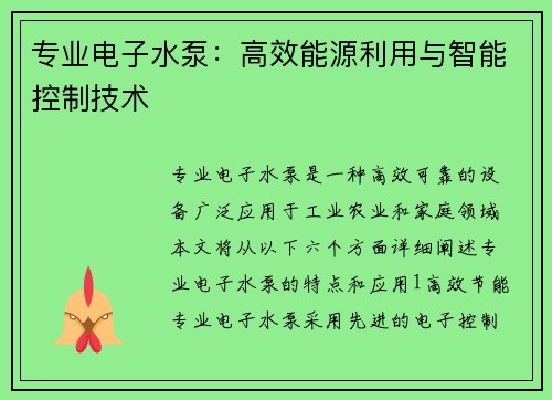 专业电子水泵：高效能源利用与智能控制技术