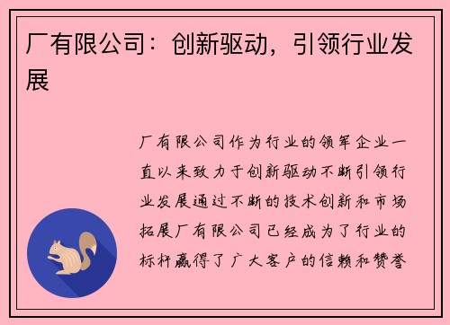 厂有限公司：创新驱动，引领行业发展