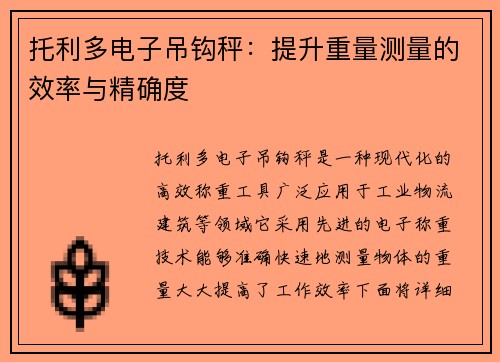 托利多电子吊钩秤：提升重量测量的效率与精确度